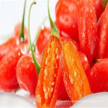 Wholesale Dried Fruit Products Red Goji Berry Wild Organic Dried Goqi